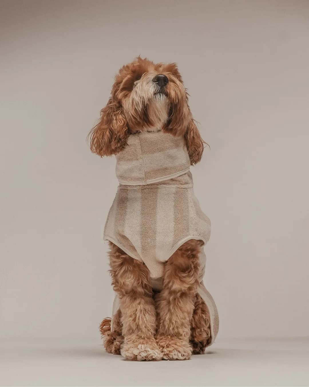 BY TEDDY The Cosy Cloak Drying Robe - Hazelnut Stripe