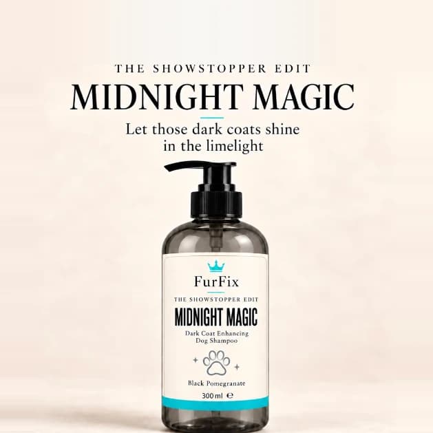 MIDNIGHT MAGIC. Dark Coat Enhancing Dog Shampoo