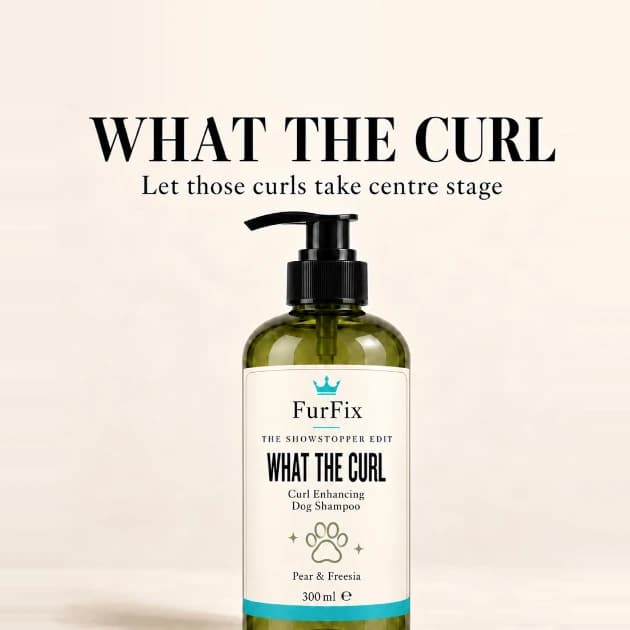 WHAT THE CURL. Curl Enhancing Dog Shampoo